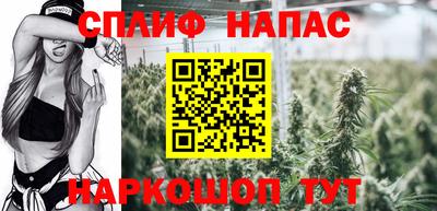 гидра Нягань