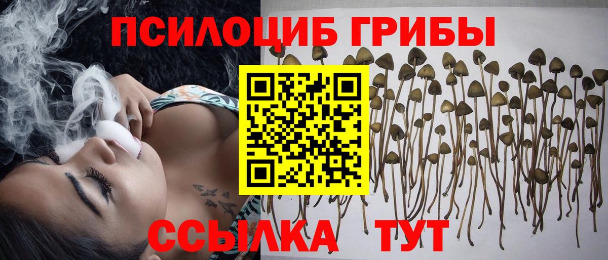 Галлюциногенные грибы GOLDEN TEACHER Пушкино
